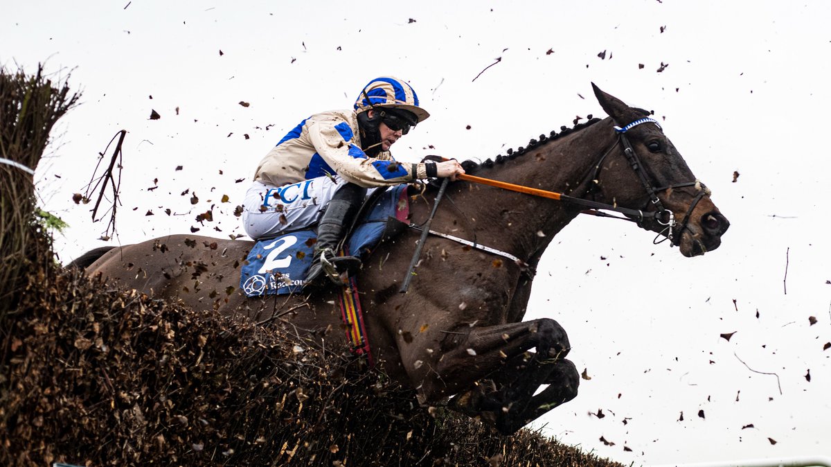 HRIRacing's tweet photo. #TodaysTips - https://t.co/rn3bVyV30G
🏇@NaasRacecourse
⏰First Race 12.15pm
Plenty of familiar names over hurdles and fences at #Naas this afternoon.
Our preview is here ↙️
https://t.co/rn3bVyV30G #CaptainGuinness https://t.co/s7iVKAAJYS
