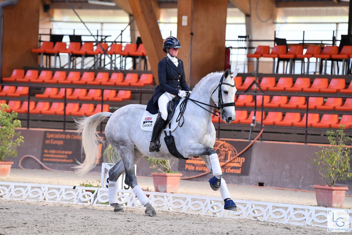 Annalross's tweet photo. What is the most important quality to you when looking for a dressage horse?
Hollys canter has always been her greatest strength along with her energy .. photo in the prizegiving at Le Mans CDI 

#flyinggrey #bethbainbridge https://t.co/HthepRZYi4