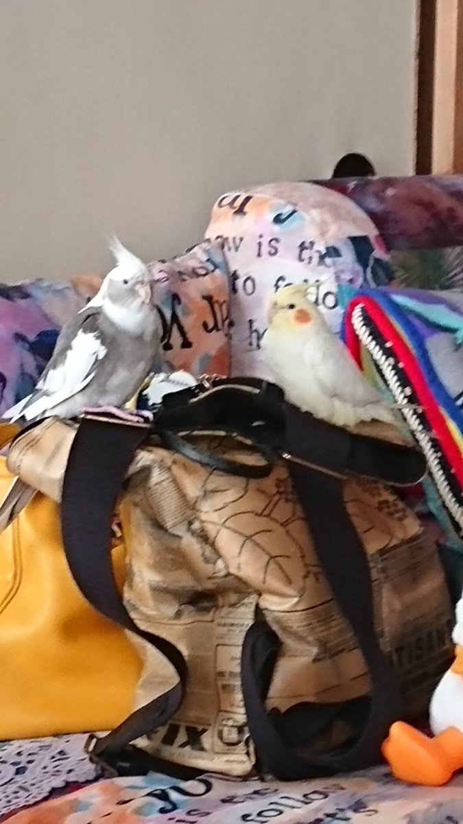 仲良し(๑˃ᴗ˂)