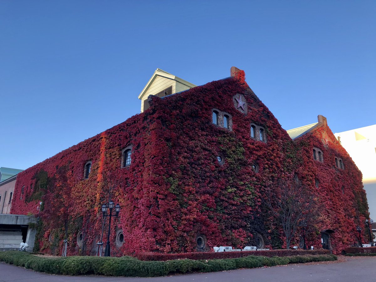 ezokamuii's tweet photo. 札幌ファクトリー！🍁🎄✨
#japan #sapporo #sapporo_factory #日本 #札幌 #札幌ファクトリー https://t.co/e3DXgA6VOA