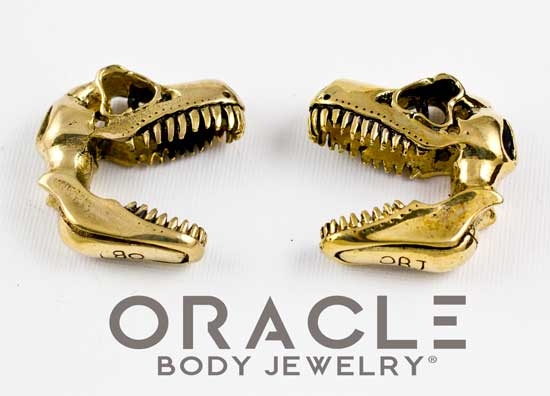 puremods's tweet photo. Would you rock some t wrecks weights? What if I told you we got them in our shop? Beautifully hand made by Oracle Body Jewelry :)

What do you think of these bad boys?

#trex #weights #hangers #puremodsbodyjewelry #brassweights https://t.co/pHwz1hq70w