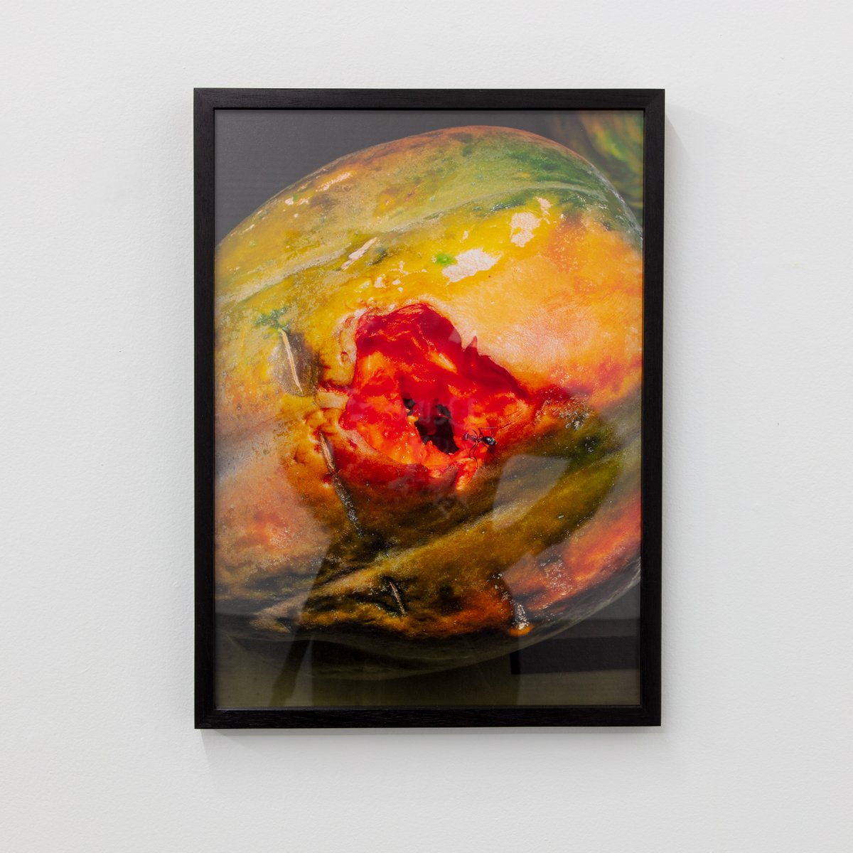 Stockroom's tweet photo. OPENING: 6 NOVEMBER FROM 4:30PM
.
enquiries@stockroom.space

​https://t.co/wdjFSQHjU6
​.
LISS FENWICK
Natural History Of Destruction

​NICHOLAS BURRIDGE
Terraforming: An Expanding Practice
​
​LAUREN JOFFE
Hidden
​ https://t.co/jJUWpNasPH https://t.co/s8QjcS3Bny