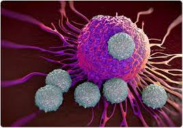 BioPharmaResea2's tweet photo. #Tcells are part of the immune system and develop from stem cells in the bone marrow. They help protect the body from infection and may help fight cancer. Also called T lymphocyte and thymocyte. A blood stem cell goes through several steps to become a red blood cell, platelet. https://t.co/UkbAuOesUh