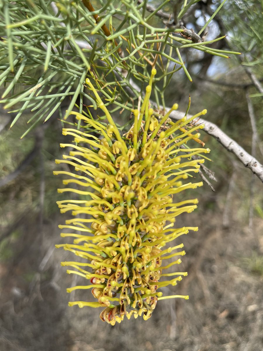 Donna Digby tweet media