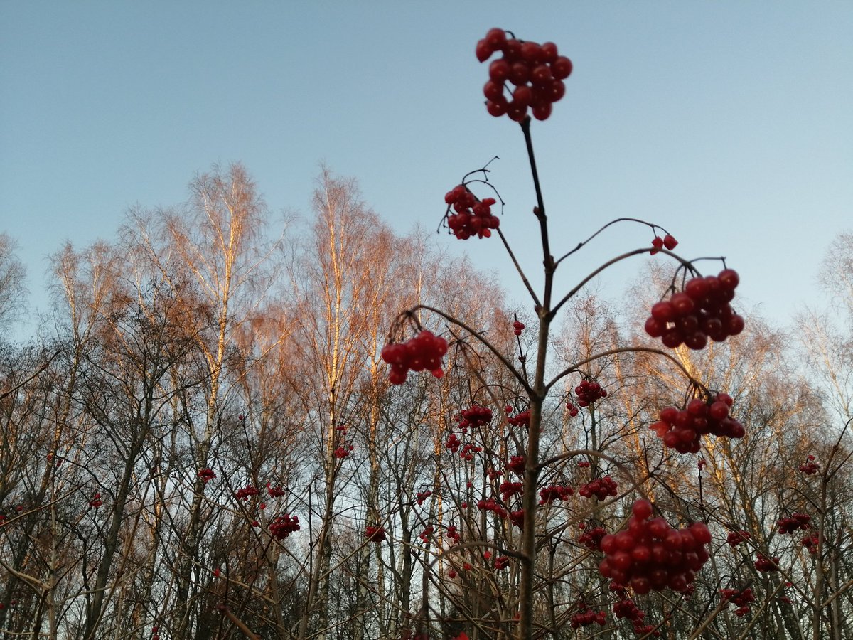 MaxRoud's tweet photo. #AutumnFalls https://t.co/bn2o7B3TDV
