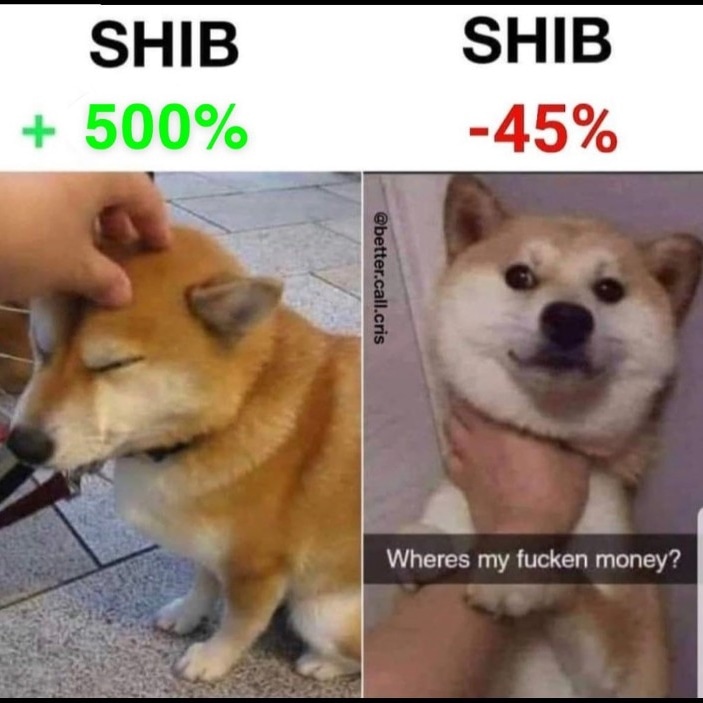 SHIB HODLER tweet media