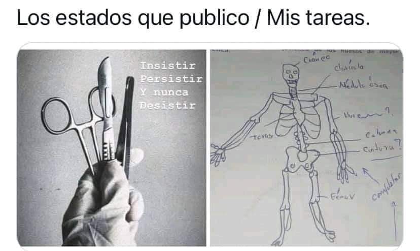 EstudiantesIq's tweet photo. 😅 https://t.co/sQ7kYX92bf