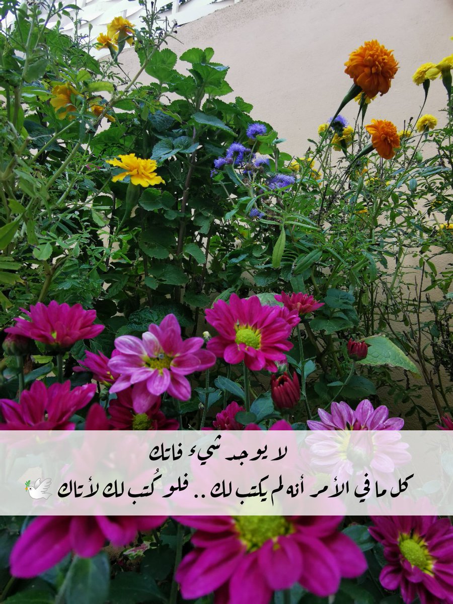 الأسيرة tweet media