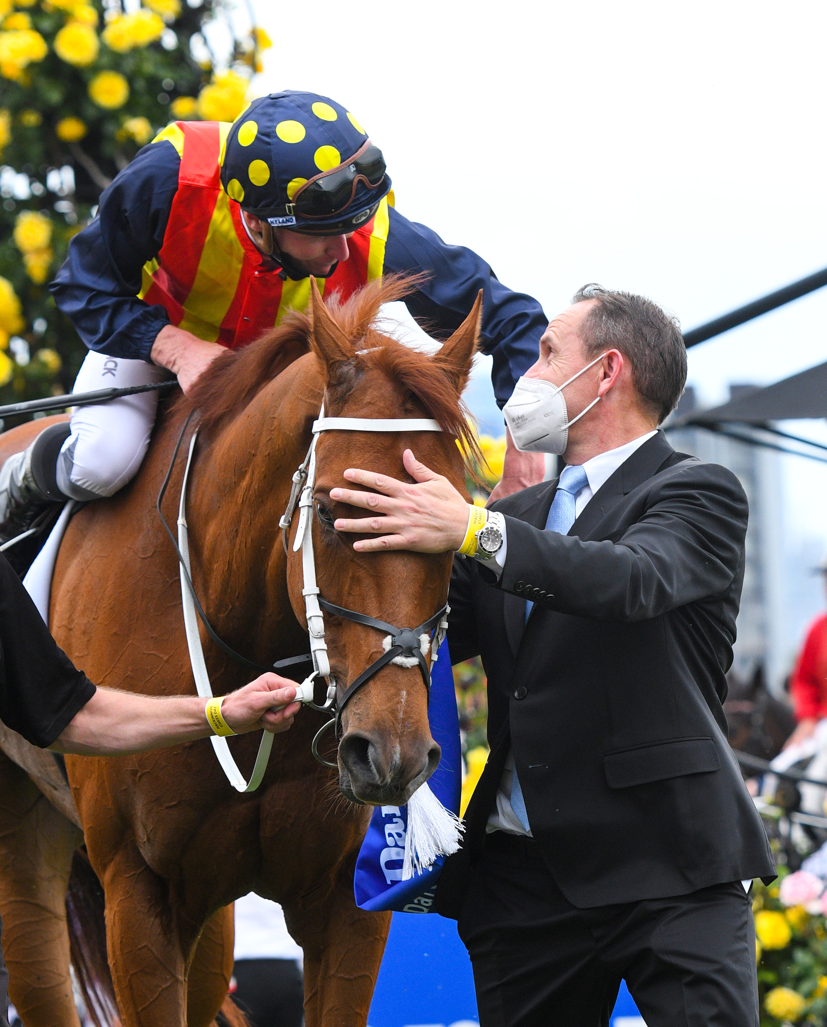 James Mcdonald Mcacajamez Twitter