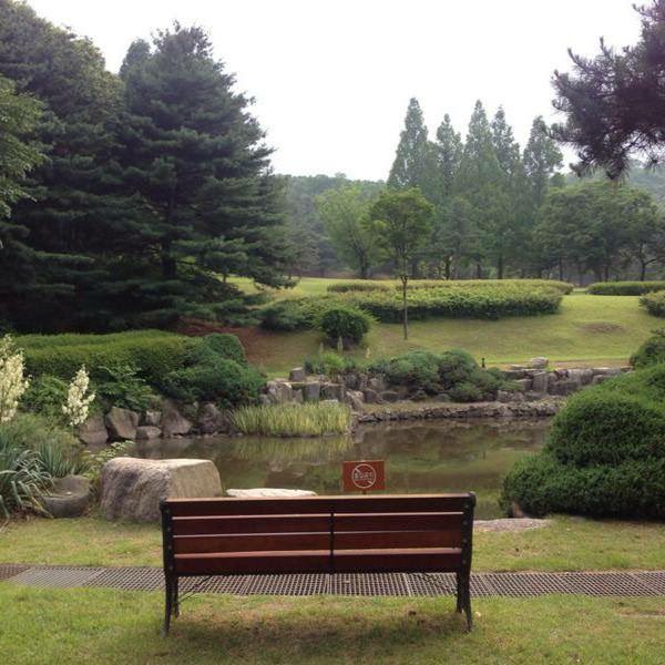 akhtarabbas76's tweet photo. Seoul South Korea 2014. #ThreadOfCalm https://t.co/UP4MWhcDKs