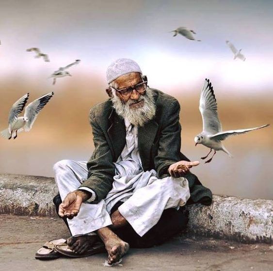 🍂लौटा जो सजा काट के बिना जुर्म की

🍂घर आ के उसने सारे परिंदे रिहा किये....!!