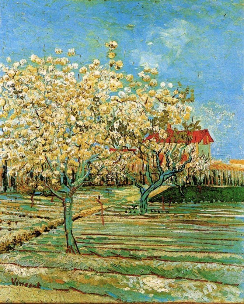 Havenlust's tweet photo. Orchard in Blossom

Vincent van Gogh https://t.co/l2MIhlkMiF
