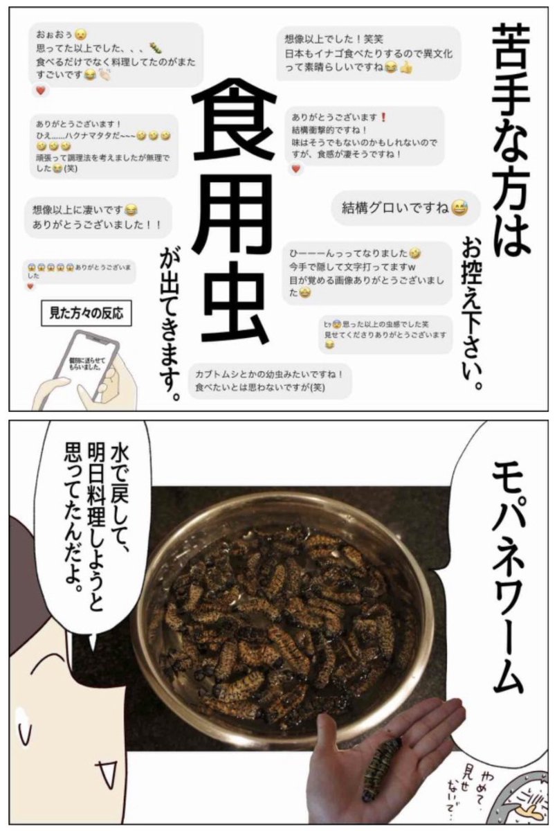 夫が台所で… 
本気の悲鳴を上げた出来事

※虫が苦手な人はお控え下さい

食用虫について詳しく知りたい方
こちらに⬇︎
https://t.co/xdhhUx82ib

#コルクラボマンガ専科 
#南アフリカ
#食用虫 