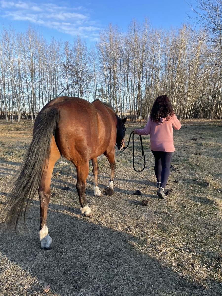 Frens…mom wants to know if you all can send prayers, good thoughts to moms sister. Her horse is not well. Vet is involved but we are worried sick over here! He has colic. If you know…sadly you know. Thanks frens!!!!!!