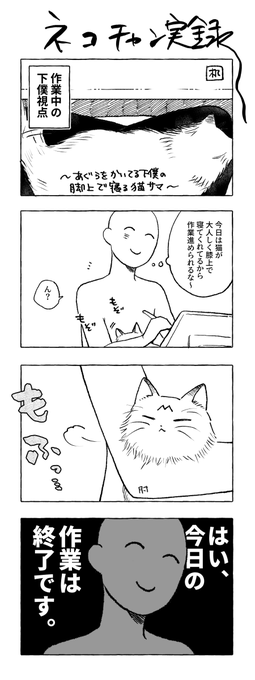 特技は利き腕封じ

ネコチャン実録です 