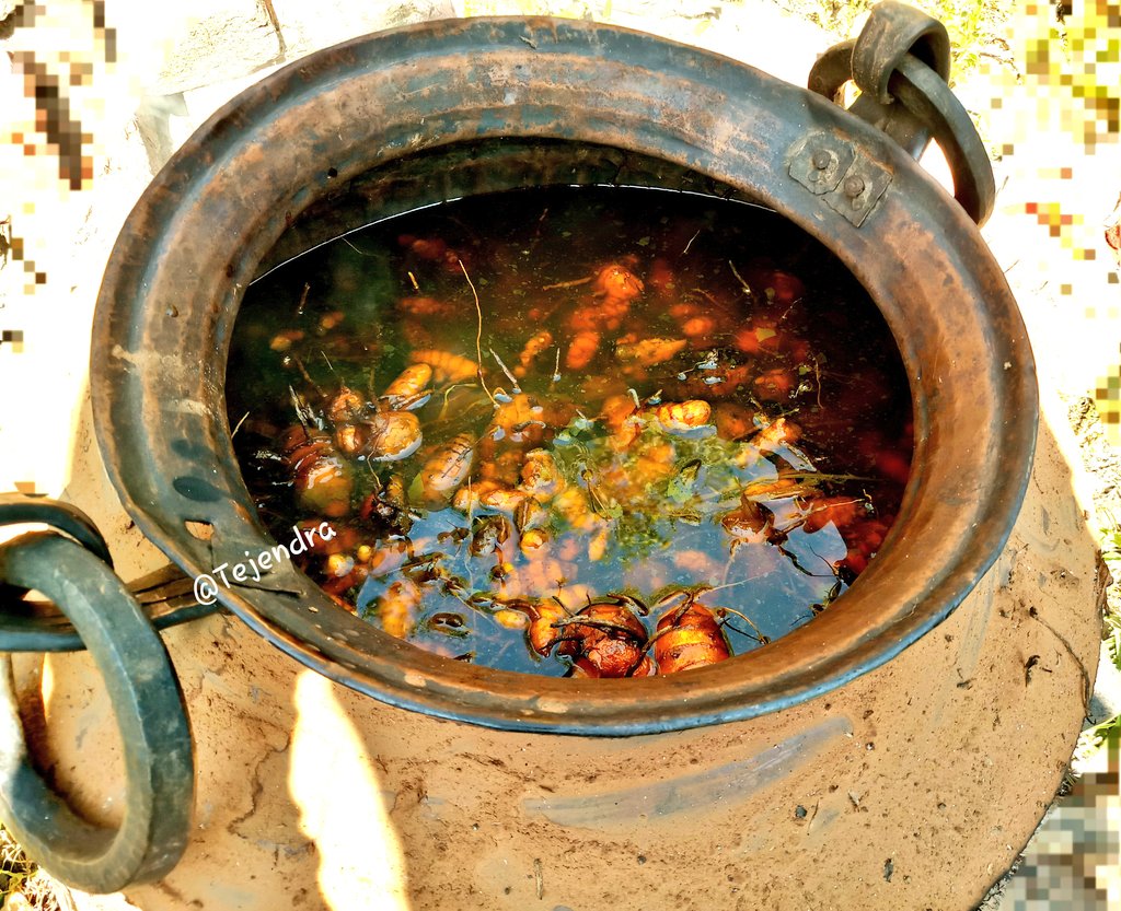 Tejendra_Bajeli's tweet photo. हल्दी पकाने में आज भी वहीँ पुरानी प्रक्रिया और तांबे का बर्तन, चूले की आग।
100% Pure & Natural
@IJAGRAMUDYOG https://t.co/0IojEGhs1m