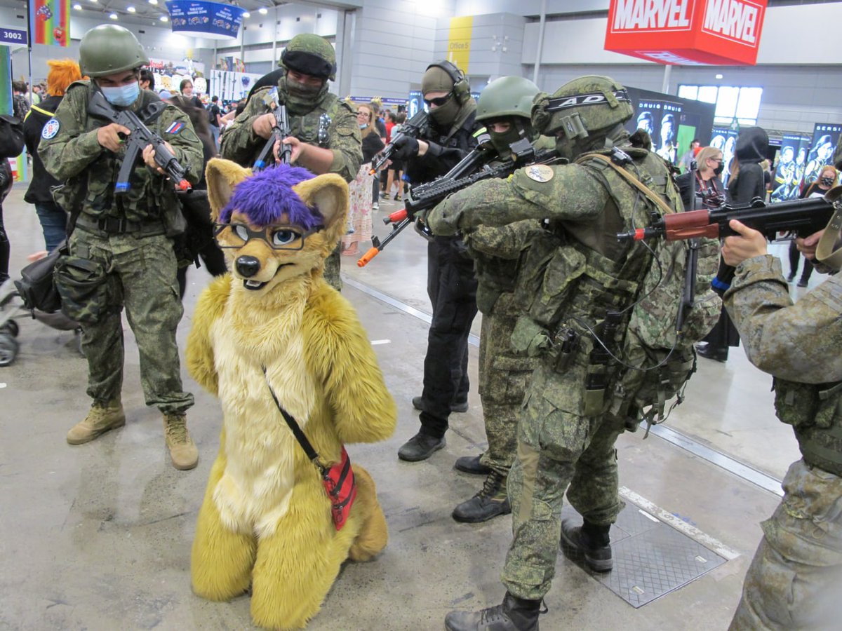 Kal Dingo tweet media