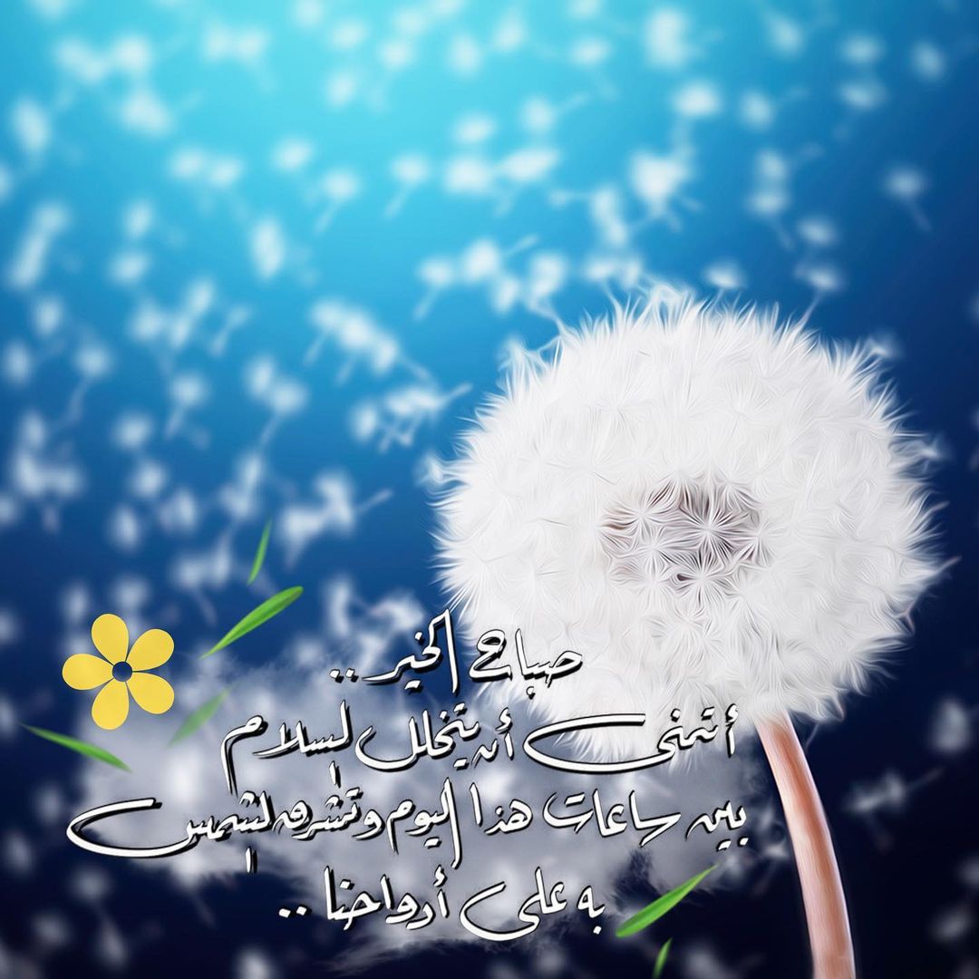 Abath111's tweet photo. ✍
#صباح_الخير .. 
أتمنى أن يتخلل السلام بين ساعات هذا اليوم وتشرق الشمس بـہ على أرواحنا
🌹🌺
#ذڪرێ_الرحيــل https://t.co/ciBz3yRPmW