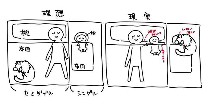 最近の夜の寝床事情です 