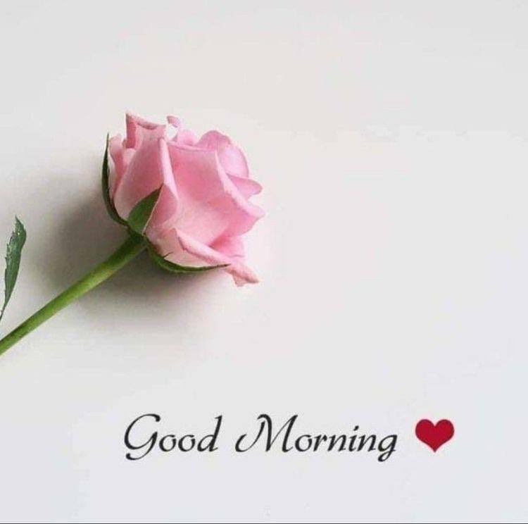 wT53ok's tweet photo. #صباح_Iلخير.
                                                                   صببـااح الخيـــــر☕️ https://t.co/Te1xm4LNrj