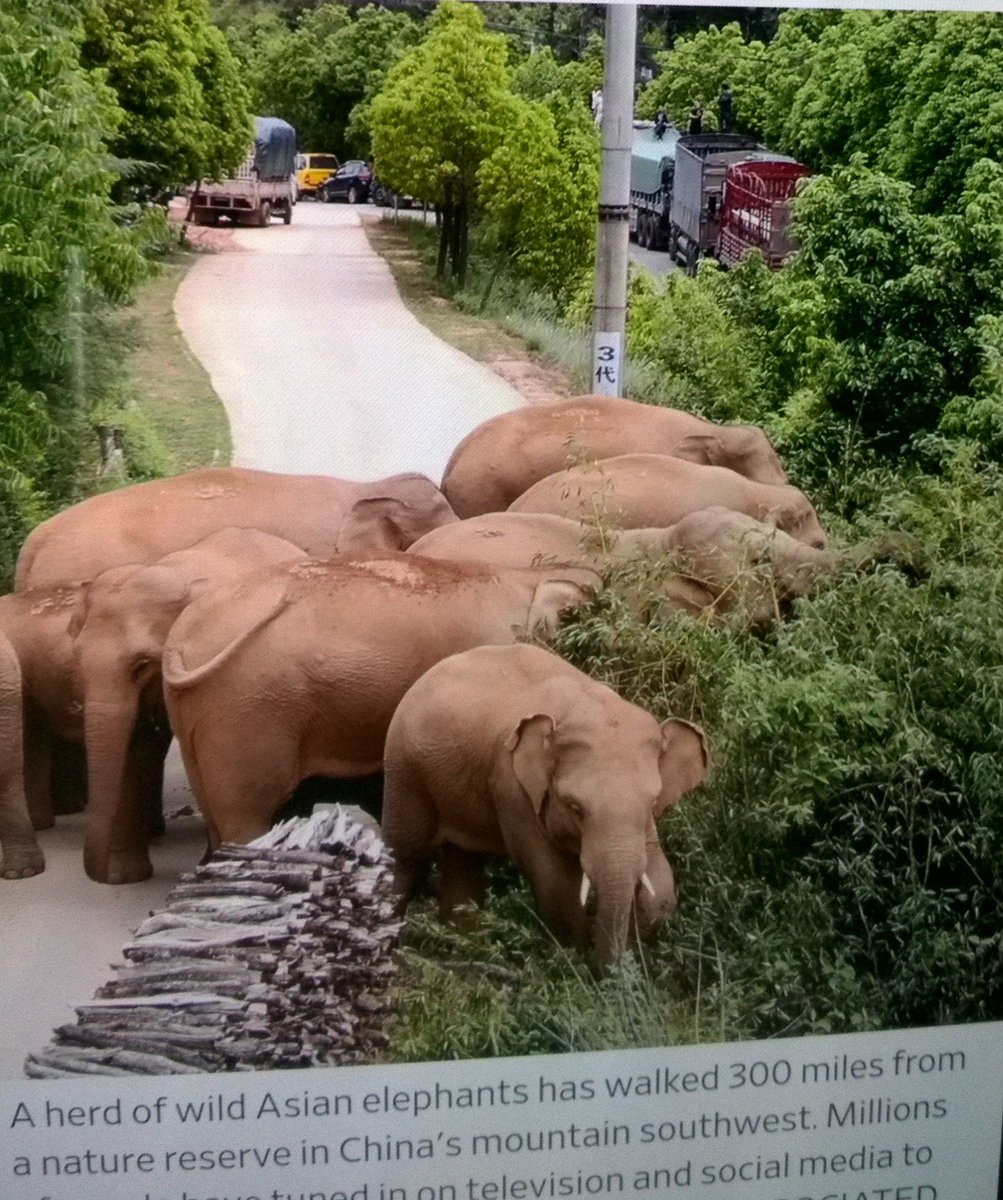 cannotplace's tweet photo. @ScripToidAct @republic Hurry up, dear Arnab and Shri Tangent before that five per cent simply disappears...which would be about 100 million suddenly missing, as in, gone too soon 🤦, like the pachyderm that never perhaps existed...🤔 https://t.co/Sdl5JPFdKk