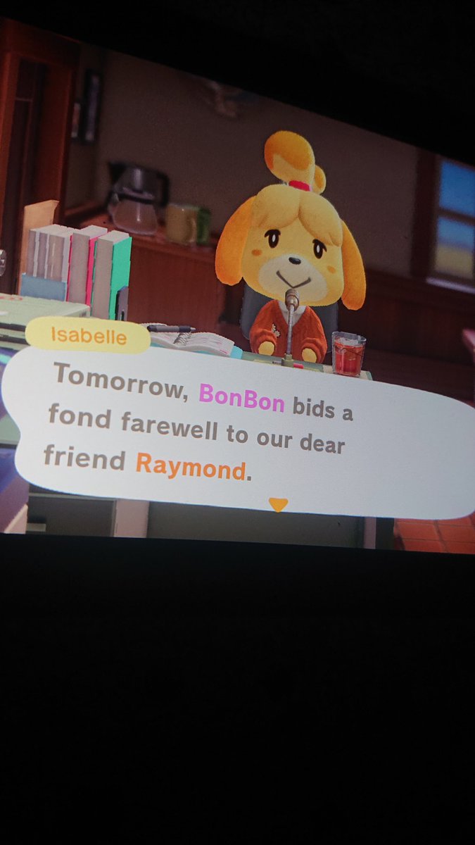 iampenbot's tweet photo. #AnimalCrossingNewHorizons #acnh anyone want #raymondacnh for their island? He is packing his boxes today (Sat 6 Nov) https://t.co/TtiMsd3QGx
