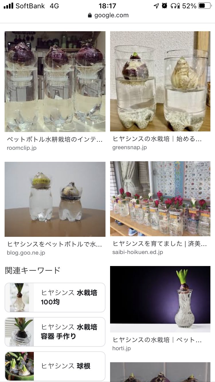 تويتر Aoi على تويتر ヒヤシンスの水耕栽培に向けて ヒヤシンスポットを調べてたらペットボトルで作れるらしい これでいいや ネコチャンがいるから場所は考えねば Overthesun T Co Prv0vewkbh تويتر Aoi على تويتر ヒヤシンスの水耕栽培に向けて ヒヤシンスポットを調べてたらペットボトルで作れるらしい これでいいや ネコチャンがいるから場所は考えねば Overthesun T Co Prv0vewkbh