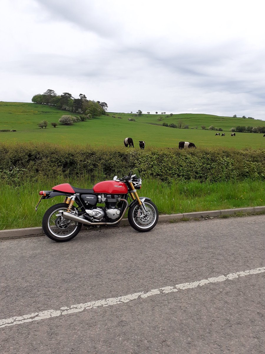 triumph1902's tweet photo. Aylesbury Vale never looked better #Triumph #beltedgalloway https://t.co/YHIk2e7ecf