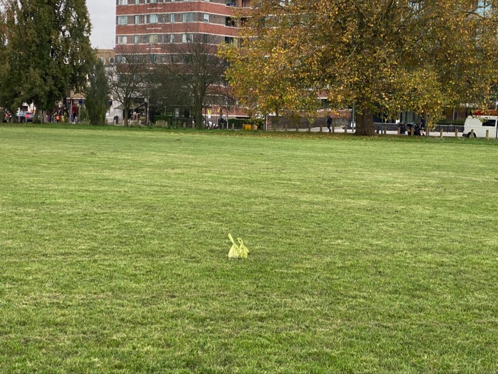 I wish I could speak to the person who left these and ask but one simple question – why?