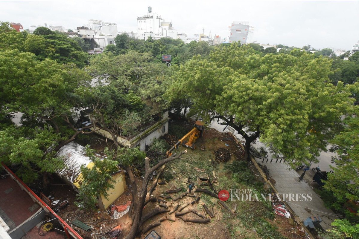 haisat2005's tweet photo. #Treefelldown #Pondybazaar #Chennai @shibasahu2012 @NewIndianXpress @xpresstn https://t.co/0rRkzuunzy