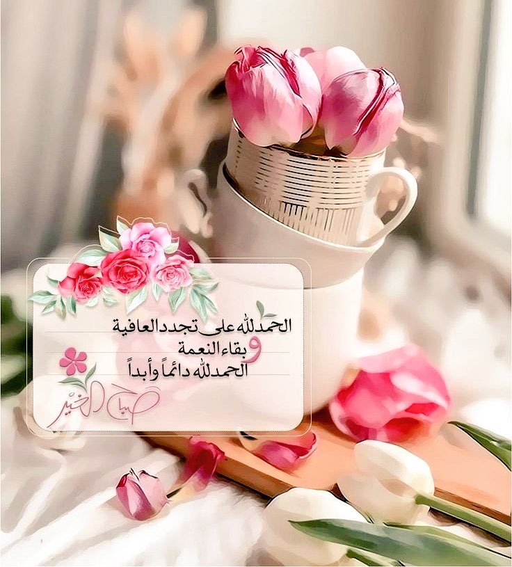 wT53ok's tweet photo. "الحمـدللـه. https://t.co/OeYNNTwyoz