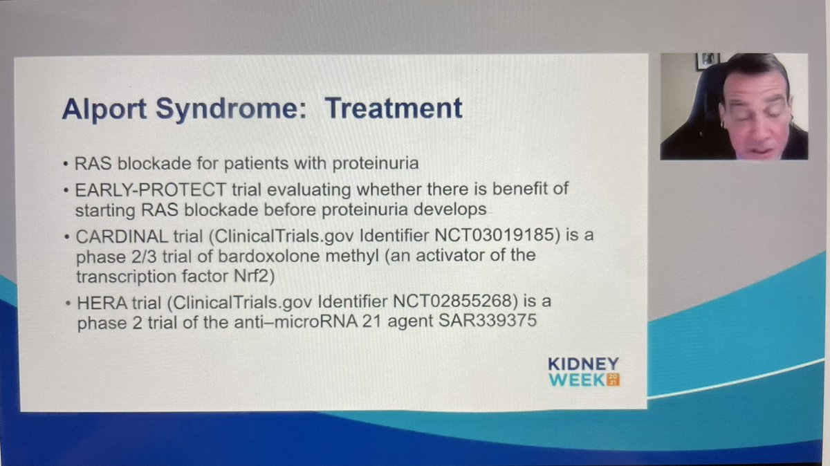 DerekSLarson's tweet image. Dr. Nachman discusses potential treatments for Alport Syndrome in the Glomerular Diseases: 2021 Update #kidneywk #earlyprogram