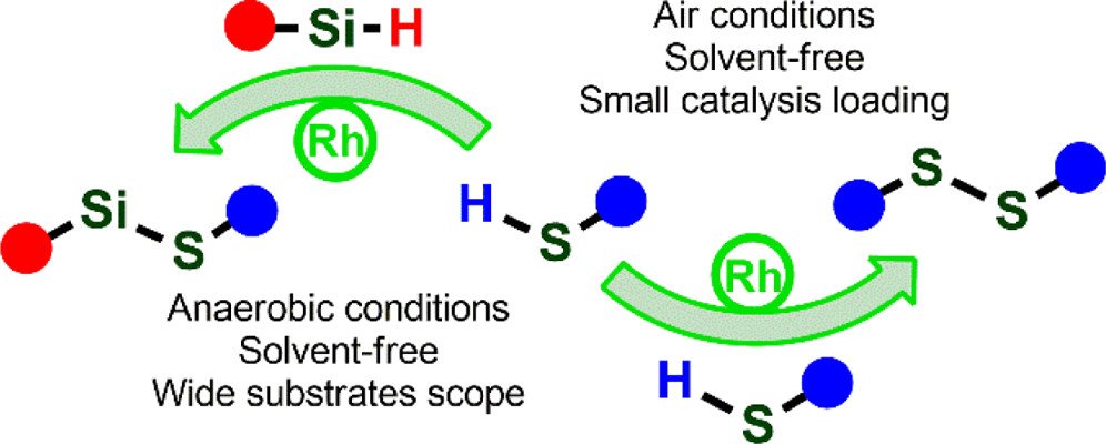 bhkenlo's tweet photo. Application of Bulky NHC–Rhodium Complexes in Efficient S–Si and S–S Bond Forming Reactions https://t.co/I6jZO2iTgn Bołt and Żak @InorgChem #rhodium #NHC #SSi #SS #formation #catalysis #silylthioethers #disulfides
🟤🟡↩️🟢↪️🟡🟡 https://t.co/KDJ6j9g2Wr