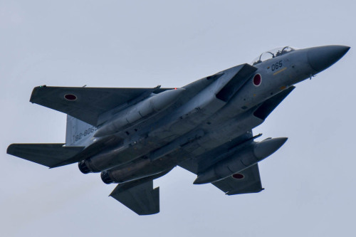 RUNWAY72's tweet photo. 2018.5.27 #miho #JASDF #F15 https://t.co/MNEEpEEGlI