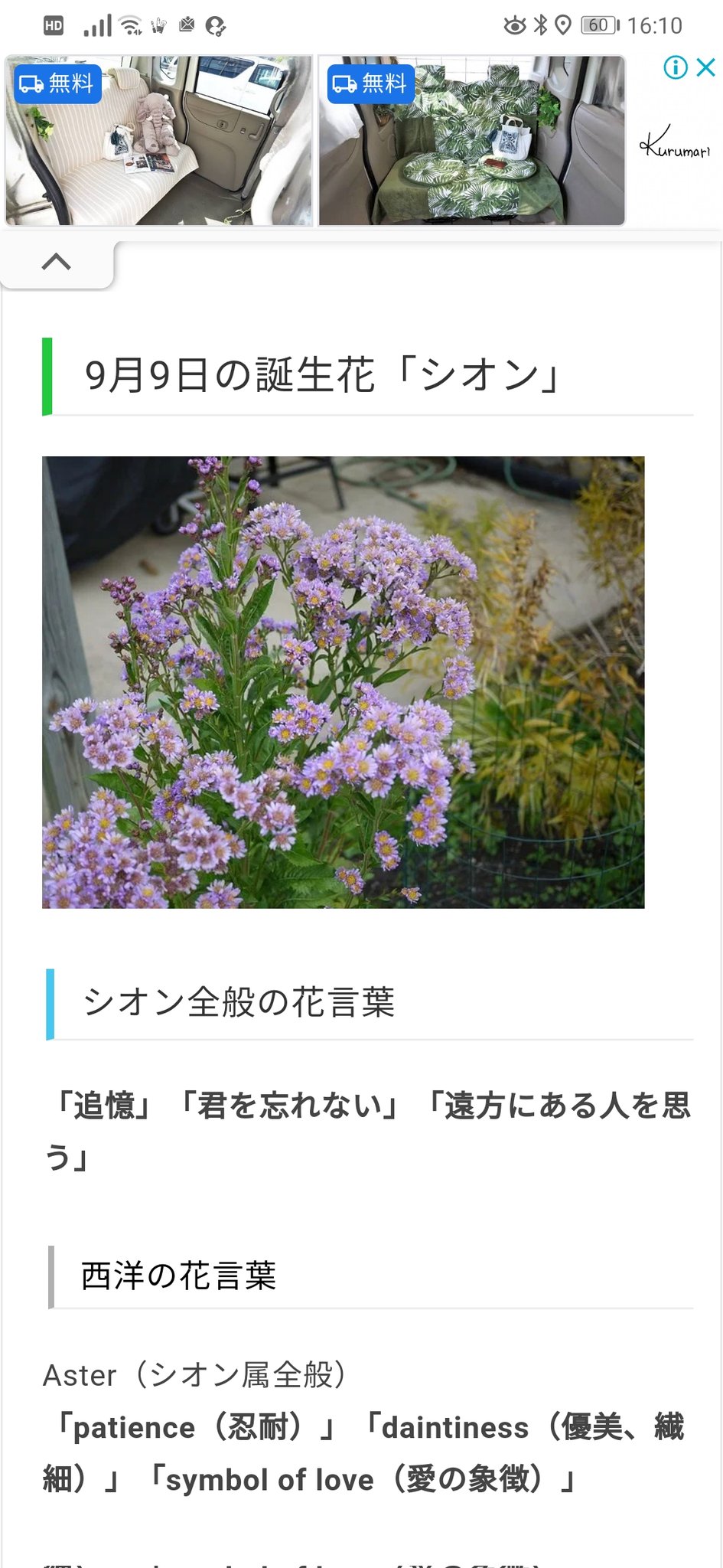 ぐるこ 風真愛 Gs4が生活 9月９日の風真玲太くん 誕生花 シオン 花言葉 追憶 君を忘れない 遠方にある人を想う 僕は泣いた ときメモgs4 風真玲太 T Co Jua02ruulg Twitter