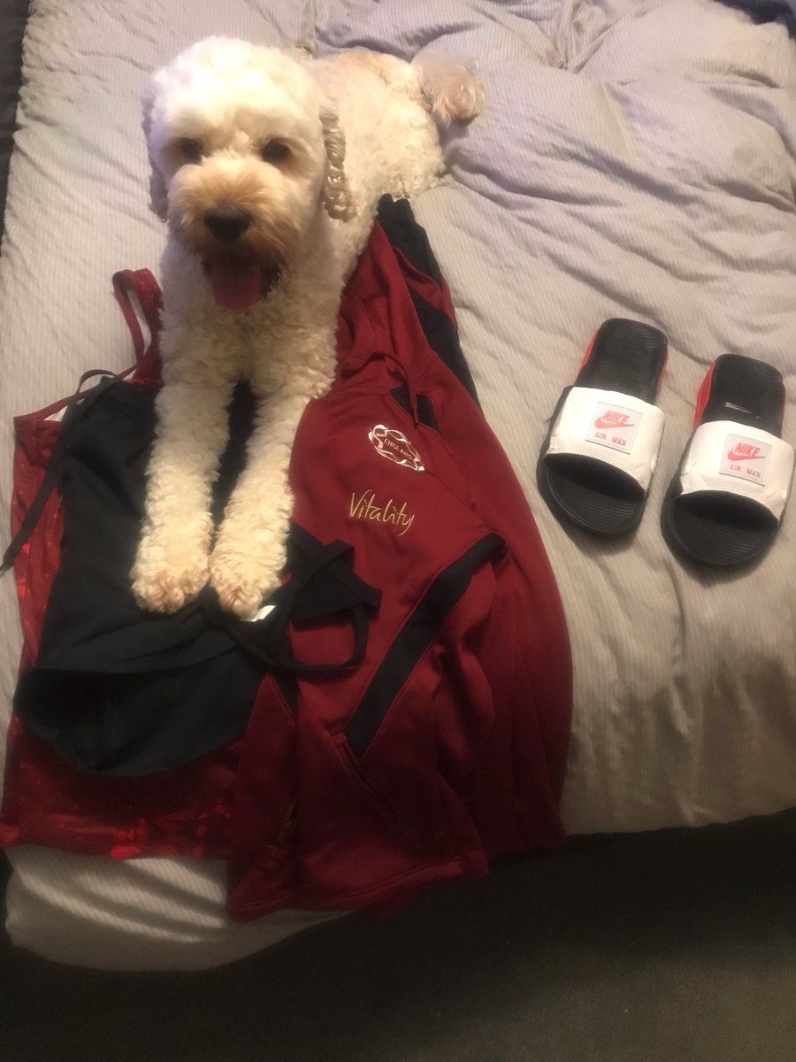 When you don’t want your favourite human to go to camp…!!! #rosesacadamy <a href="/lydsnetball375/">Lydia Harrison</a> <a href="/sheonahforbes/">Sheonah Forbes</a> <a href="/EnglandNetball/">England Netball</a>