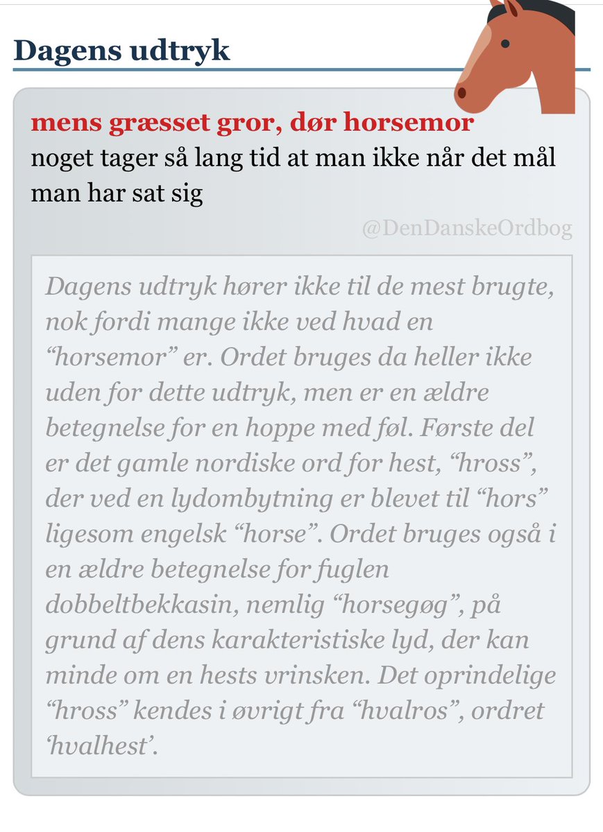 DenDanskeOrdbog's tweet photo. #gamleudtryk #metatese #hestenet #dobbeltbekkasin #dksprog
https://t.co/vnqhv6UJIl https://t.co/4B3cP1v9wU
