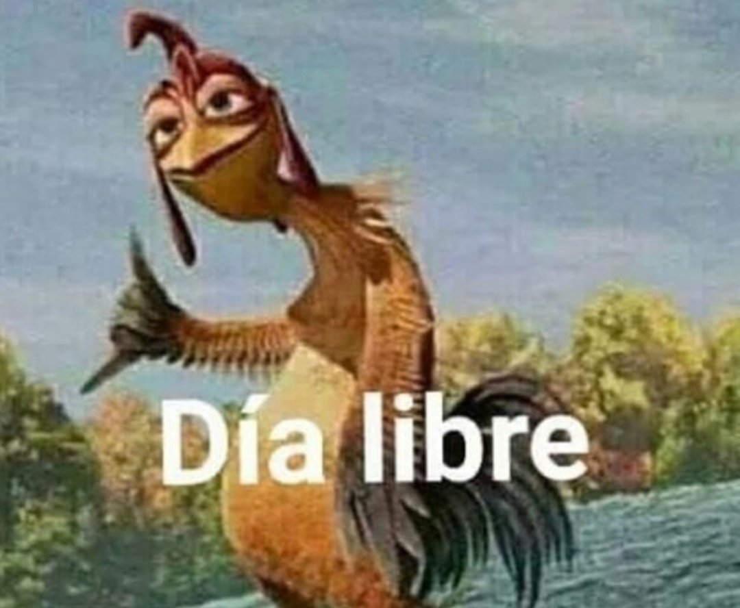 garroteee_atm's tweet photo. Hoy lo que toca https://t.co/JS0ES9lkDR