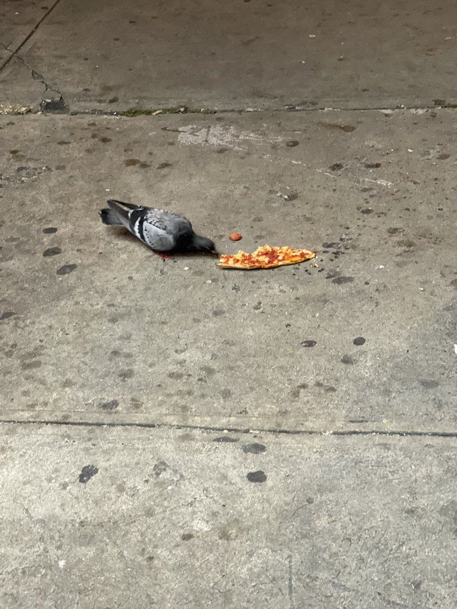 lunch_enjoyer's tweet photo. https://t.co/dqvng6p4BT