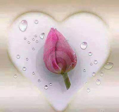 صباح الخير🇩🇿🔥🇩🇿