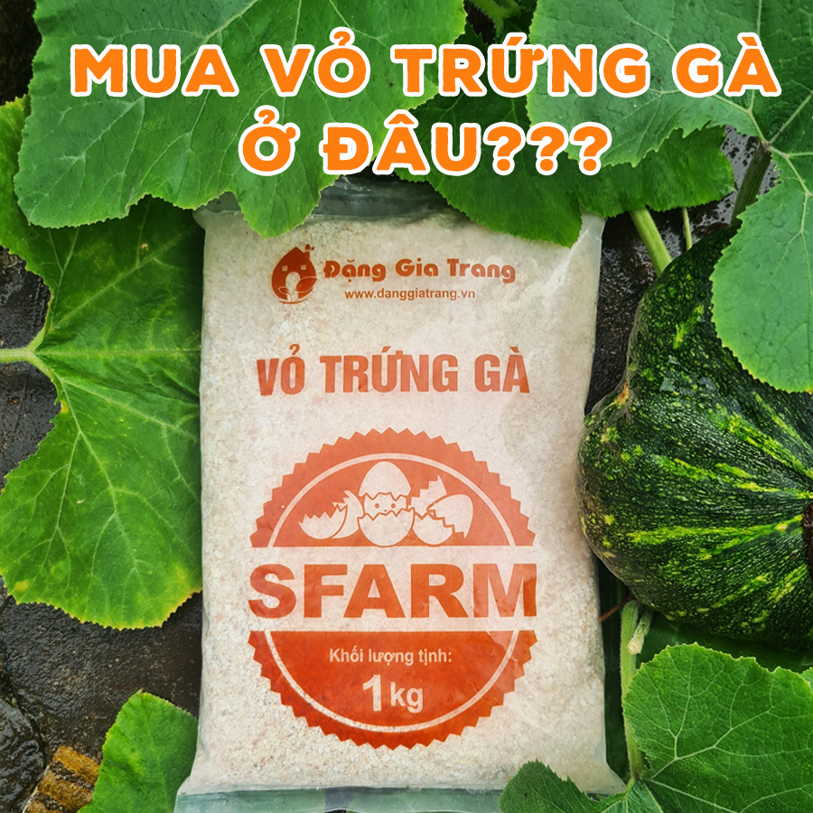 SFarmVN's tweet photo. MUA VỎ TRỨNG GÀ Ở ĐÂU???
Muốn mua vỏ trứng đã xử lý; sạch khuẩn, tiện lợi; có thương hiệu rõ ràng và giá cả phải chăng? 
Chần chờ chi! Liên hệ ngay với #SFARM để nhận thông tin đại lý gần nhất, bạn nhé! https://t.co/7DH5TtpFU2