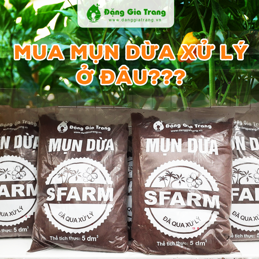 SFarmVN's tweet photo. https://t.co/2HSz91izqt