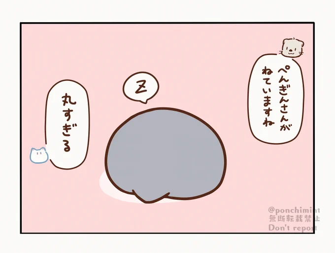 #しらほしずかん
「おひるねぺんぎん」 
