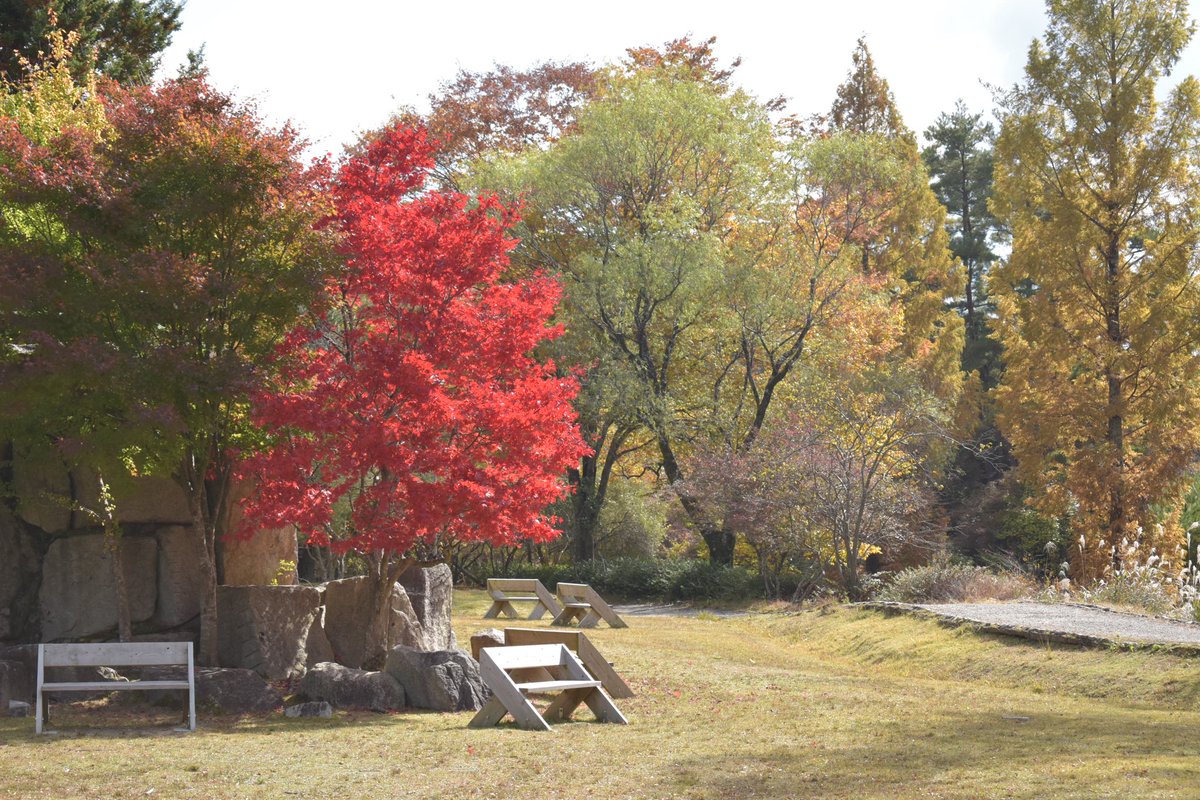 smilefactoryikd's tweet photo. 【修学旅行2021】
るり渓の景色。紅葉がとってもきれいでした。 https://t.co/MBtxyK3SuW