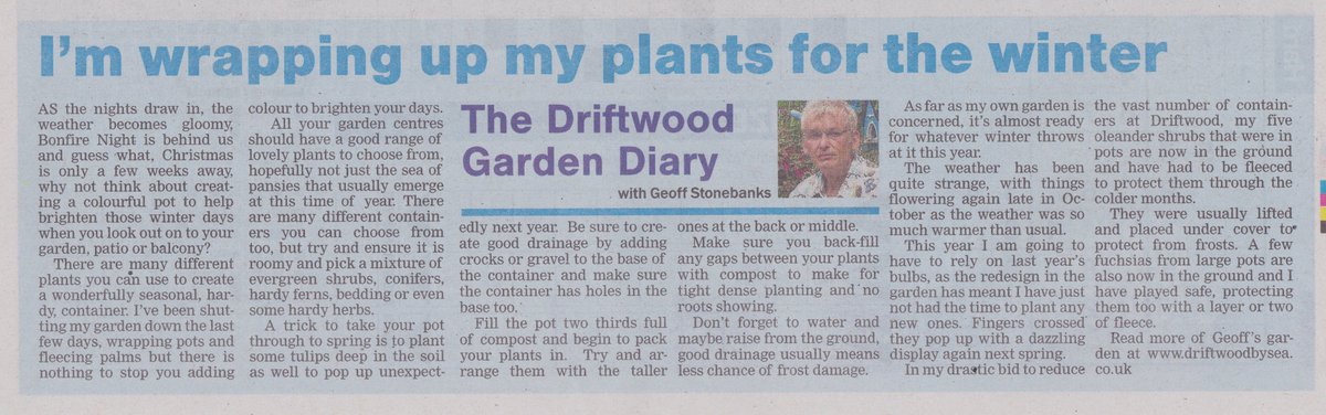 Driftwood By Sea tweet media