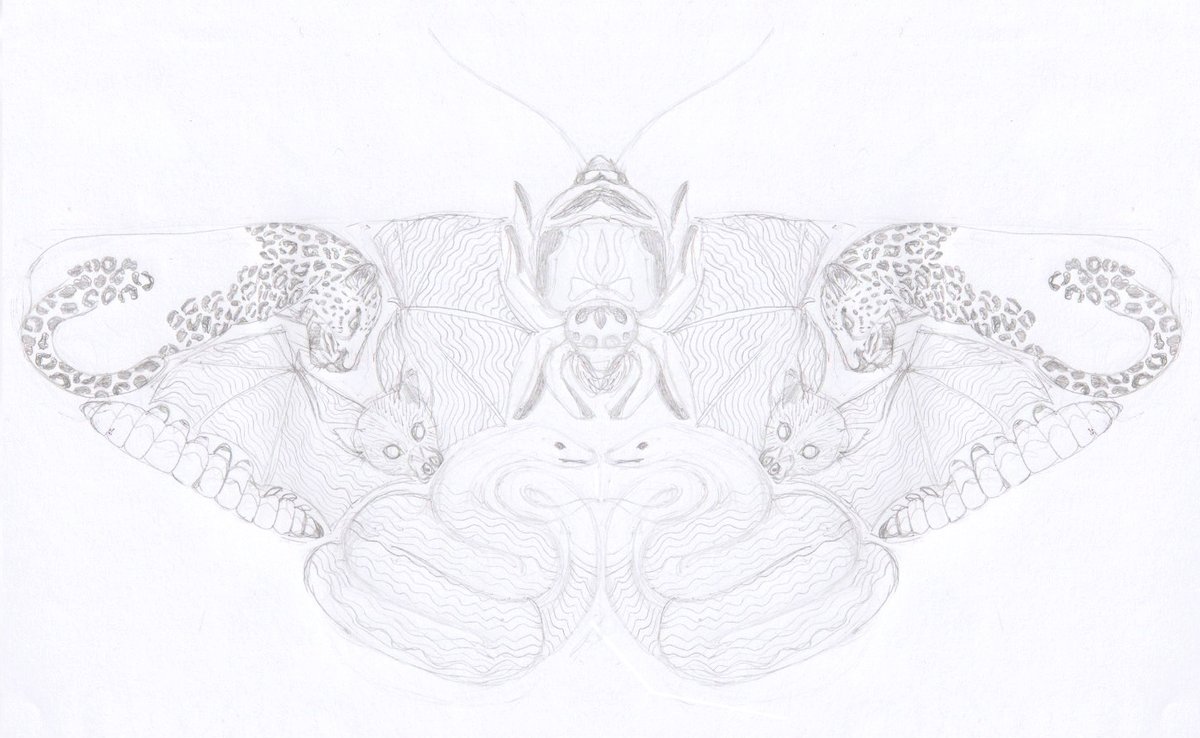megumiwat's tweet photo. MOTH Woodblock Print was based on the nature's amazing design of brahmaea japonica, a.k.a. Japanese owl moth. Find it on my website. 
#printmaking #printsforsale #mothart #natureart #woodblockprint #owlmoth https://t.co/hPwU3hgj0g