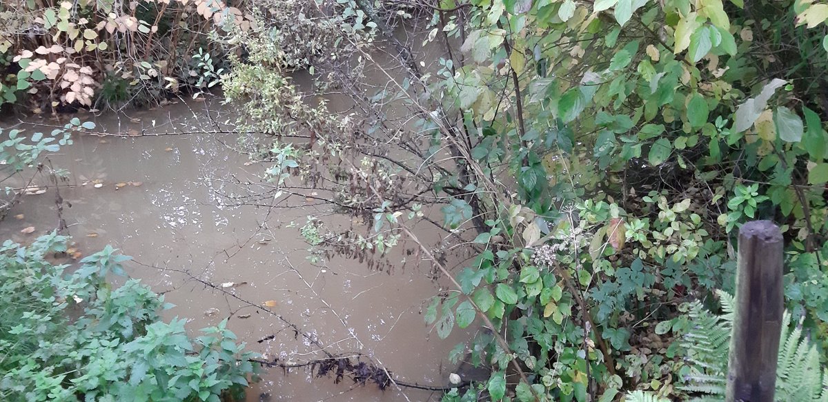 AnneDelvoye's tweet photo. Goed om weten #openbaaronderzoek  tem 28/2/2022! check of de atlas klopt #waterbeheer #waterinjebuurt #beek
https://t.co/ldfY1zxCAI https://t.co/PSe0ORwvnh