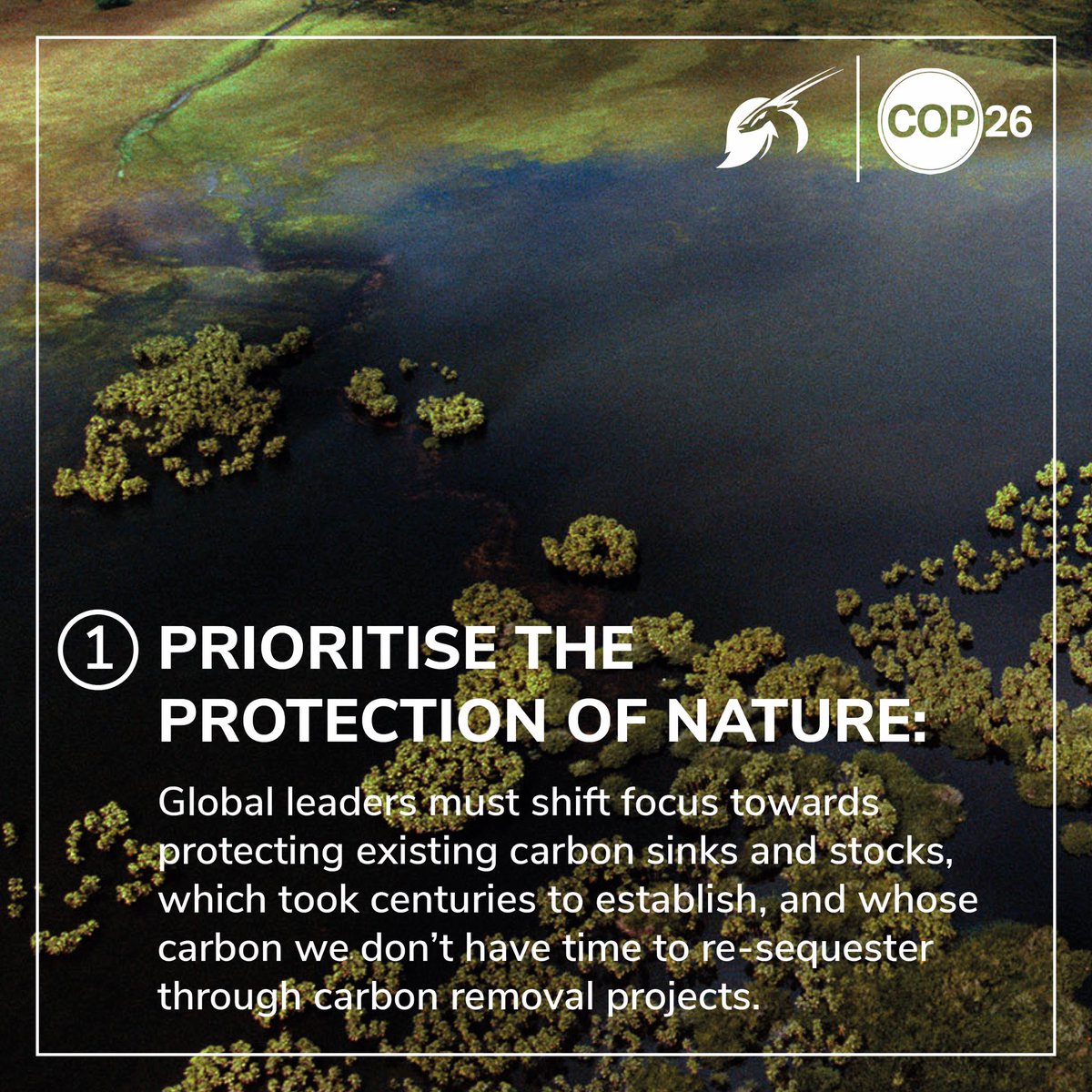 HughFW's tweet photo. The protection and restoration of nature plays a fundamental part in staying within the 1.5°c temperature limit and supporting biodiversity. @faunafloraint are calling for #COP26 decision-makers to put nature front and centre in the fight against climate change. https://t.co/FVmOUbZbAu