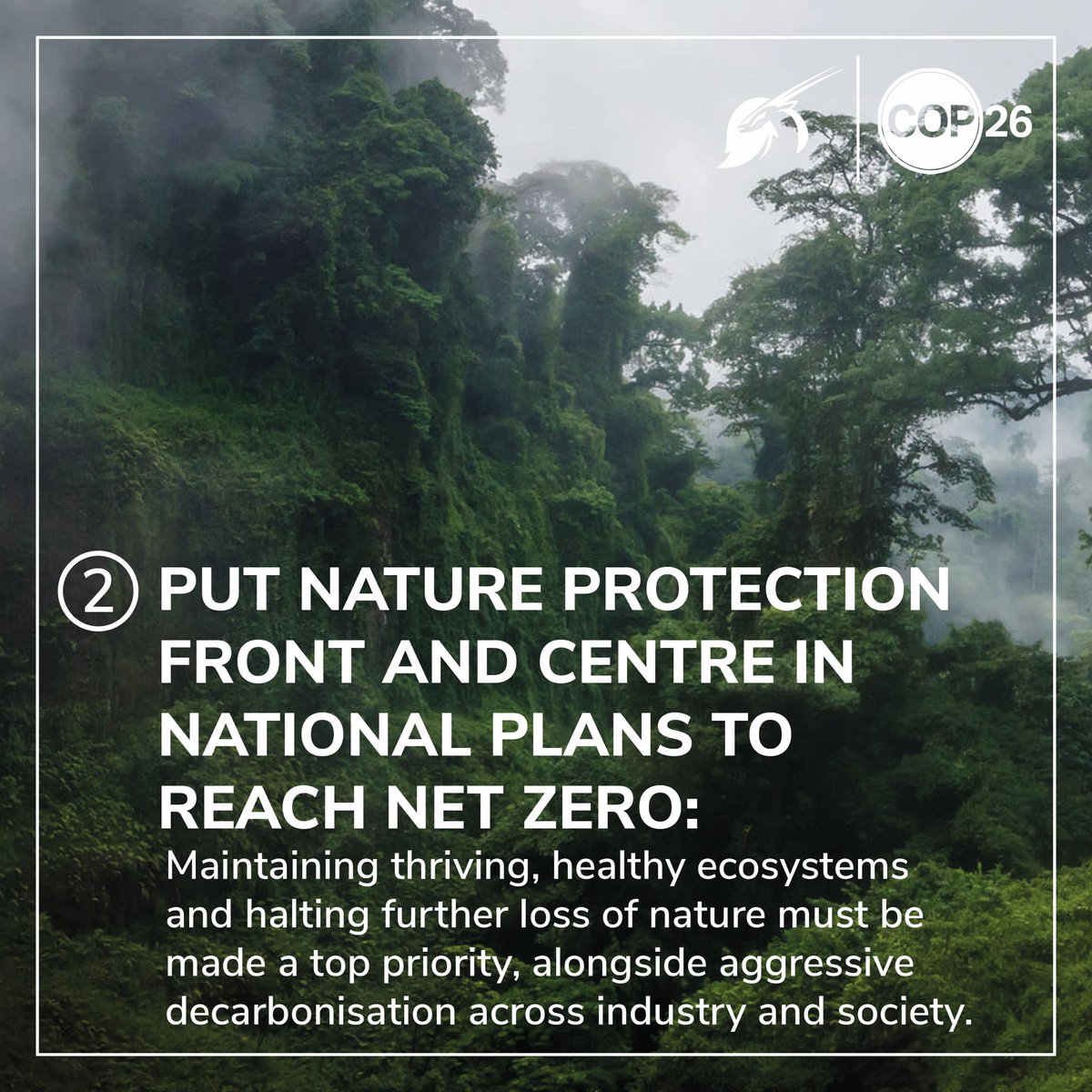 HughFW's tweet photo. The protection and restoration of nature plays a fundamental part in staying within the 1.5°c temperature limit and supporting biodiversity. @faunafloraint are calling for #COP26 decision-makers to put nature front and centre in the fight against climate change. https://t.co/FVmOUbZbAu