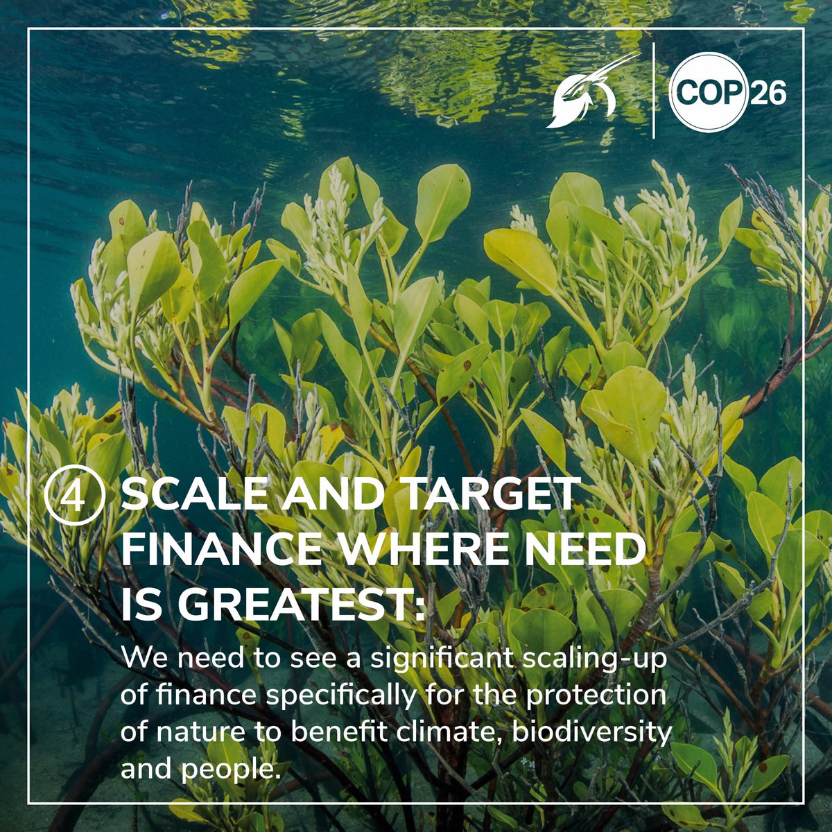 HughFW's tweet photo. The protection and restoration of nature plays a fundamental part in staying within the 1.5°c temperature limit and supporting biodiversity. @faunafloraint are calling for #COP26 decision-makers to put nature front and centre in the fight against climate change. https://t.co/FVmOUbZbAu